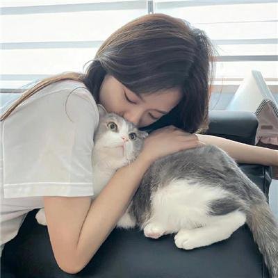 如果历史是一群喵 第四季